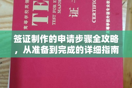 保定签证制作的申请步骤全攻略，从准备到完成的详细指南